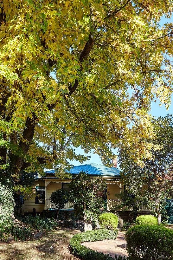 Tiffany'S Cottages ブライト エクステリア 写真